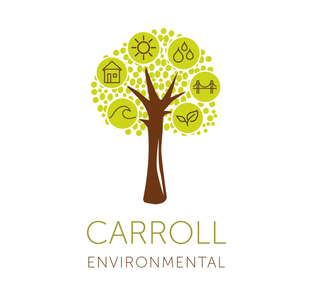 Carroll Environmental Logo